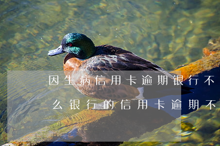 因生病信用卡逾期银行不同意协商怎么办（什么银行的信用卡逾期不能协商）