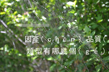 因產(chǎn)品質(zhì)量致害的類型有哪幾個(gè)方面