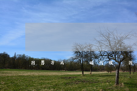 因男方出軌離婚代理詞(因男方出軌離婚代理詞)