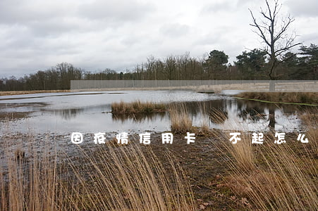 因疫情信用卡還不起怎么辦