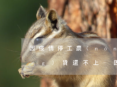 因疫情停工農(nóng)民工欠網(wǎng)貸還不上-因疫情停工農(nóng)民工欠網(wǎng)貸還不上怎么辦