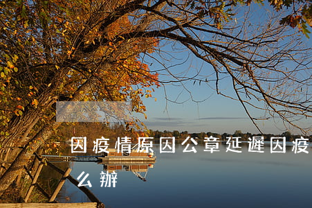 因疫情原因公章延遲(因疫情原因公章延遲怎么辦)