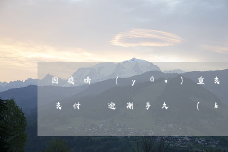 因疫情嚴(yán)重支付寶逾期(疫情期間支付寶逾期多久會(huì)上征信多久可以消除)