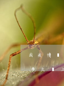 因疫情嚴重支付寶逾期(疫情期間支付寶逾期多久會上征信多久可以消除)