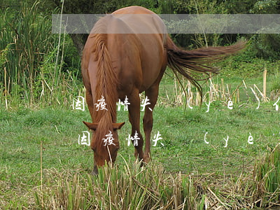 因疫情失業(yè)信用卡逾期的怎么辦-因疫情失業(yè)信用卡逾期還不起了怎么處理