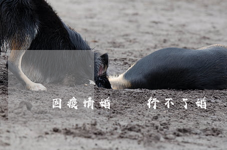 因疫情婚禮舉行不了，婚慶公司不退押金怎么辦