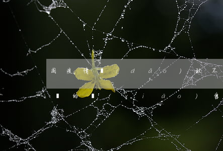 因疫情導(dǎo)致不能足額發(fā)貨的銷(xiāo)售企業(yè)應(yīng)如何規(guī)避風(fēng)險(xiǎn)