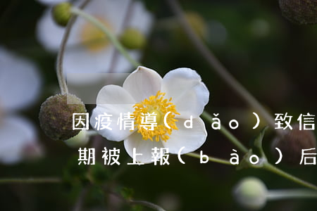 因疫情導(dǎo)致信用卡逾期（信用卡逾期被上報(bào)后果）