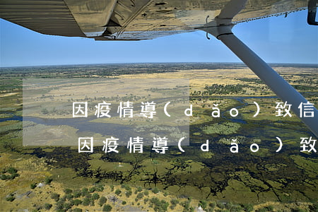 因疫情導(dǎo)致信用卡逾期被上征信(因疫情導(dǎo)致信用卡逾期上征信怎么消除記錄)