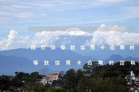 因疫情導致信用卡逾期的證明模板-因疫情導致信用卡逾期的證明模板怎么寫