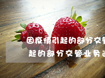因疫情引起的部分交管业务逾期-因疫情引起的部分交管业务逾期怎么办