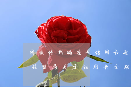 因疫情影响造成信用卡逾期冻结-疫情期间银监局关于信用卡逾期的政策