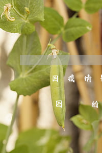因疫情影響經(jīng)營(yíng)困難的企業(yè)是否可以員工待崗