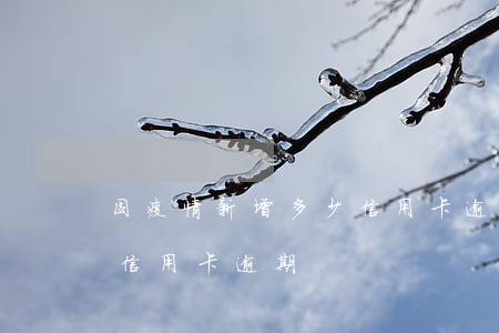 因疫情新增多少信用卡逾期(疫情影響多少人信用卡逾期)