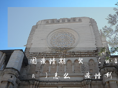 因疫情期間欠網(wǎng)貸3萬(wàn)怎么辦(疫情影響無(wú)法還網(wǎng)貸)