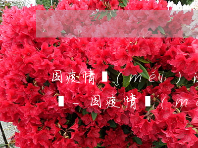 因疫情沒(méi)法上班還不起信用卡咋辦-因疫情沒(méi)法上班還不起信用卡咋辦呢