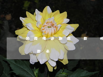 因疫情逾期后還款證明(逾期還款情況說明和還款承諾)