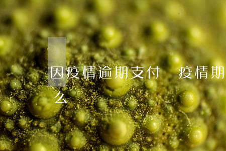 因疫情逾期支付寶(疫情期間支付寶逾期了怎么辦)
