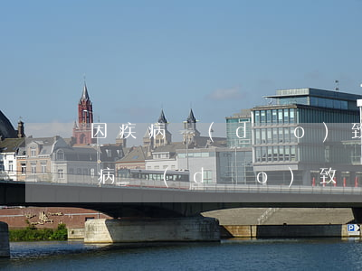 因疾病導(dǎo)致車貸逾期怎么辦（因疾病導(dǎo)致車貸逾期怎么辦）