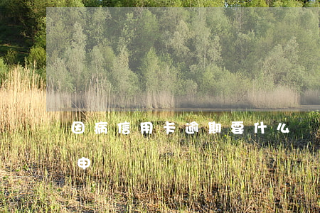 因病信用卡逾期要什么證明(銀行信用卡逾期申請書)