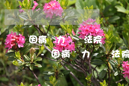 因病無力償還法院會凍結(jié)銀行卡嗎-因病無力償還法院會凍結(jié)銀行卡嗎怎么辦