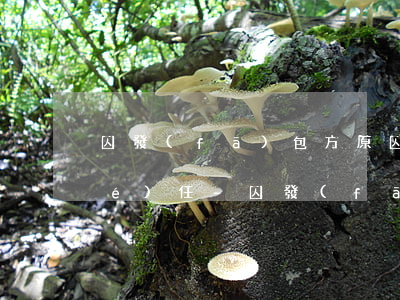 因發(fā)包方原因造成逾期違約責(zé)任-因發(fā)包方原因造成逾期違約責(zé)任怎么賠償