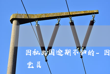 因私出国逾期不归的-因私出国逾期不归的党员