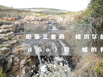 因第三者而離婚可以起訴道歉嗎(第三方導(dǎo)致離婚的判什么罪)