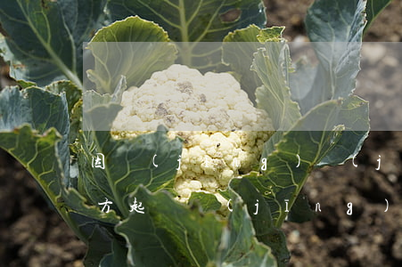 因經(jīng)濟(jì)糾紛在什么地方起訴(經(jīng)濟(jì)糾紛案件起訴的條件)