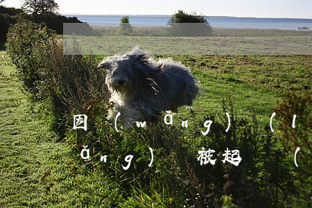 因網(wǎng)絡(luò)賭欠網(wǎng)貸被起訴(網(wǎng)賭被騙能起訴嗎)