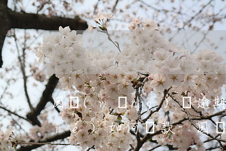 因網(wǎng)貸逾期銀行卡被凍結(jié)如何還款-因網(wǎng)貸逾期銀行卡被凍結(jié)如何還款呢