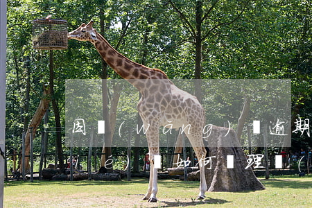 因網(wǎng)貸逾期銀行卡被凍結(jié)該如何處理（網(wǎng)貸逾期異地刑警凍結(jié)銀行卡）