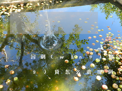 因網(wǎng)賭欠信用卡和網(wǎng)貸怎么處理(網(wǎng)絡(luò)上賭博欠的網(wǎng)貸怎么辦)