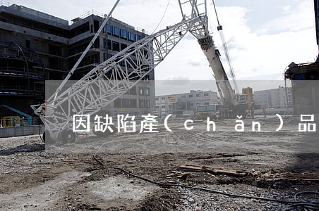 因缺陷產(chǎn)品起訴怎么舉證