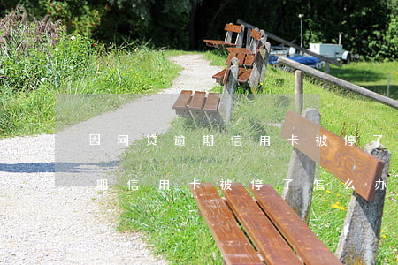 因网贷逾期信用卡被停了怎么办-因网贷逾期信用卡被停了怎么办呢