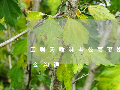 因聊天暧昧老公要离婚怎么办(和老公离婚怎么沟通)