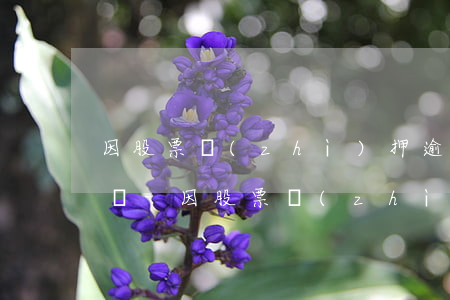 因股票質(zhì)押逾期違約被動減持處罰-因股票質(zhì)押逾期違約被動減持處罰多少