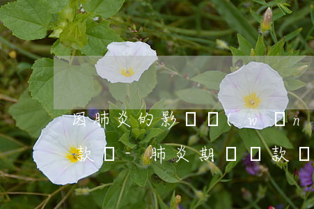 因肺炎的影響網(wǎng)貸可以逾期還款嗎-肺炎期間貸款還不起怎么辦