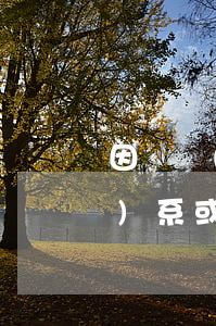 因舉報(bào)人無法取得聯(lián)系或逾期不領(lǐng)-因舉報(bào)人無法取得聯(lián)系或逾期不領(lǐng)結(jié)婚證