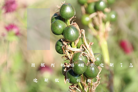 因被判刑信用卡逾期了怎么辦(有沒有信用卡逾期被判刑的)