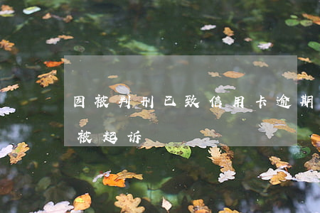 因被判刑已致信用卡逾期(因服刑信用卡逾期被起诉)