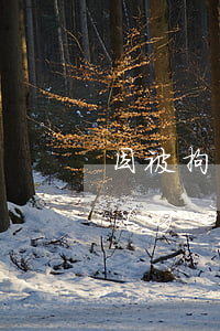 因被拘留導(dǎo)致京東白條逾期一個(gè)月-因被拘留導(dǎo)致京東白條逾期一個(gè)月怎么辦