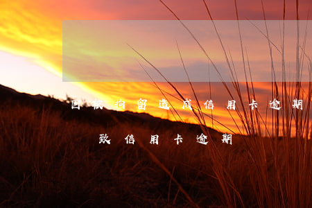 因被拘留造成信用卡逾期怎么辦 因為被拘留導致信用卡逾期