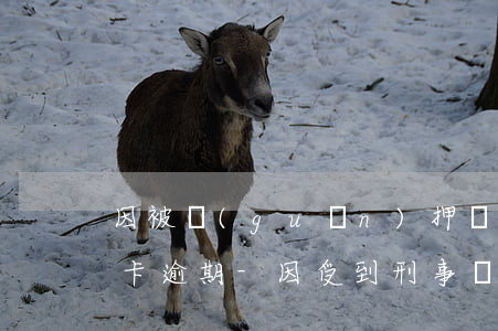 因被關(guān)押導(dǎo)致信用卡逾期-因受到刑事處罰導(dǎo)致信用卡逾期
