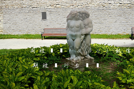 因被騙導(dǎo)致信用卡逾期（信用卡逾期被銀行告詐騙）