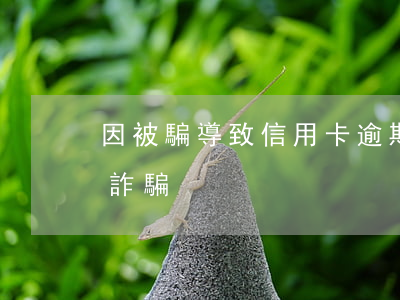 因被騙導致信用卡逾期（0774信用卡逾期詐騙）