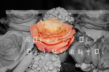 因財(cái)務(wù)人員離職導(dǎo)致的逾期申報(bào)-因財(cái)務(wù)人員離職導(dǎo)致的逾期申報(bào)怎么處理