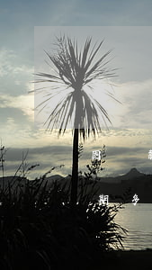 因貸款逾期被銀行起訴如何處理(銀行貸款逾期多久會被起訴立案)