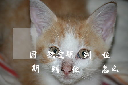 因貸款逾期達到單位電話怎么辦-因貸款逾期達到單位電話怎么辦理