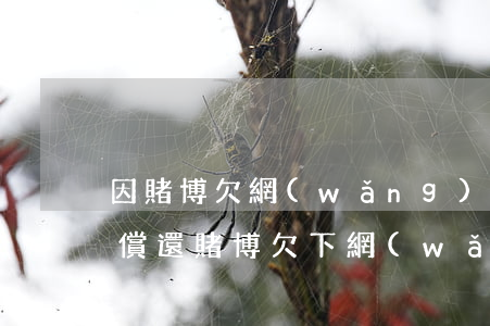 因賭博欠網(wǎng)貸債無(wú)力償還(賭博欠下網(wǎng)貸償還不了怎么辦)